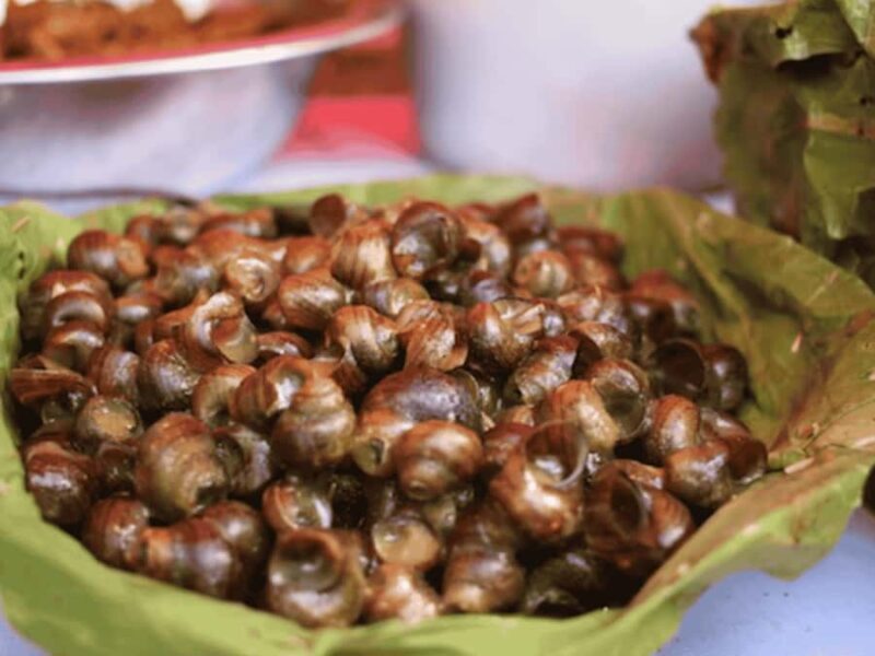 Sauraha: Museum Tour and 12+ Food Tasting of Tharu culture - FAQ