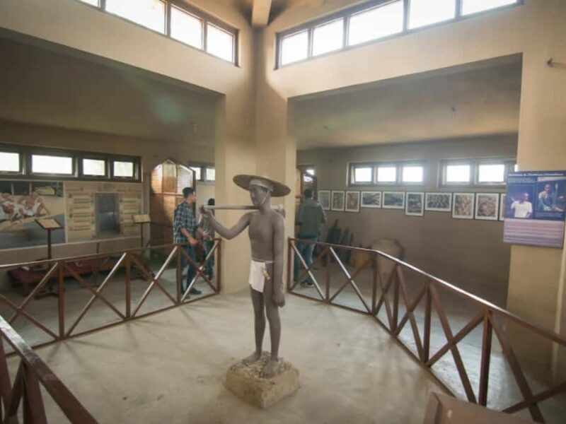 Sauraha: Museum Tour and 12+ Food Tasting of Tharu culture - Why This Tour Is Worth It