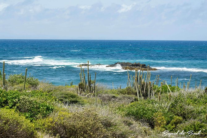 Savane Des Petrifications Hike - What to Expect and Additional Information