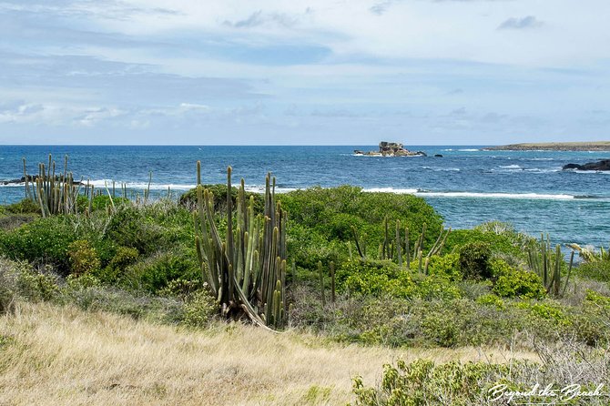 Savane Des Petrifications Hike - Cancellation Policy and Price