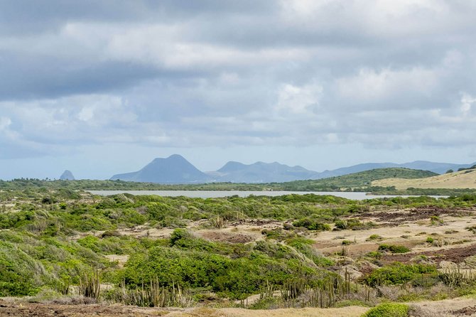 Savane Des Petrifications Hike - The Sum Up