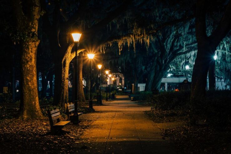 Savannah: Adults-Only Beyond Good and Evil Tour - Tour Details