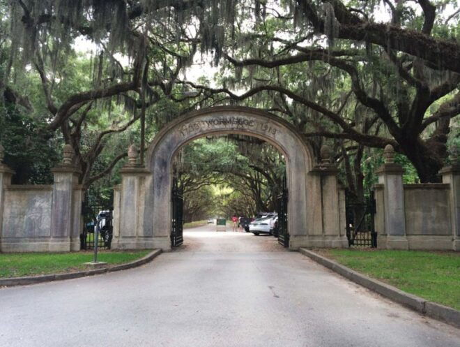Savannah: Best of the City Tour With Wormsloe Historic Site - Customer Reviews and Ratings