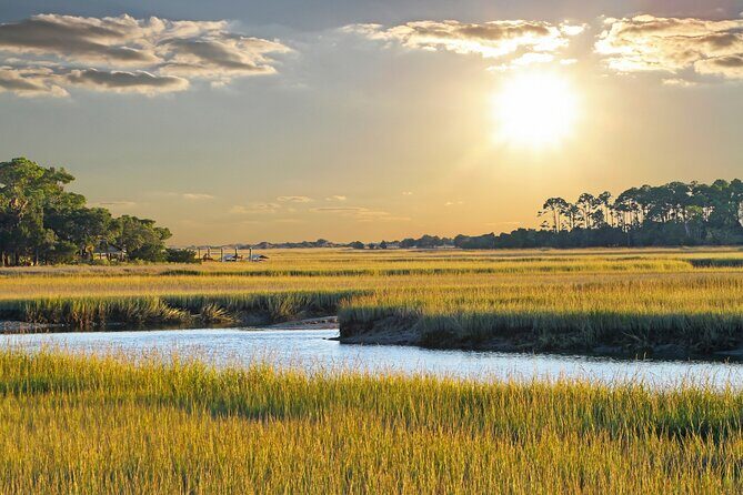 Savannah Coastal Dolphin Eco Tour - The Itinerary in Detail