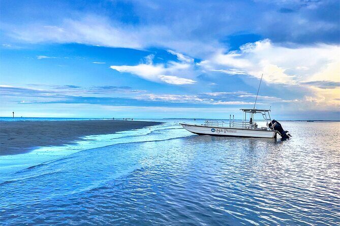 Savannah Coastal Dolphin Eco Tour - The Drawbacks and What to Consider