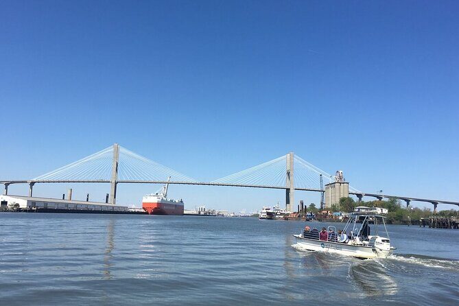 Savannah Coastal Dolphin Eco Tour - Good To Know