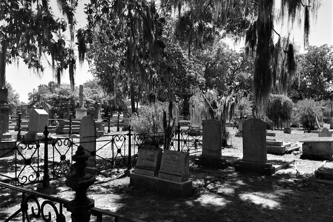 Savannah Ghost and Spirits Walking Tour - Positive Review and Experience