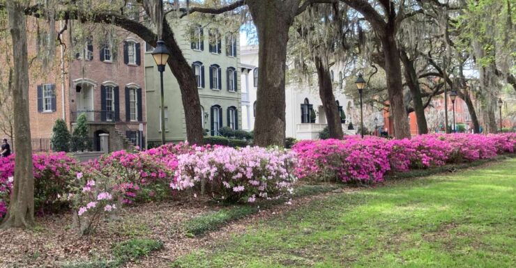 Savannah: Highlights Off the Beaten Path Guided Walking Tour - Tour Duration and Accessibility
