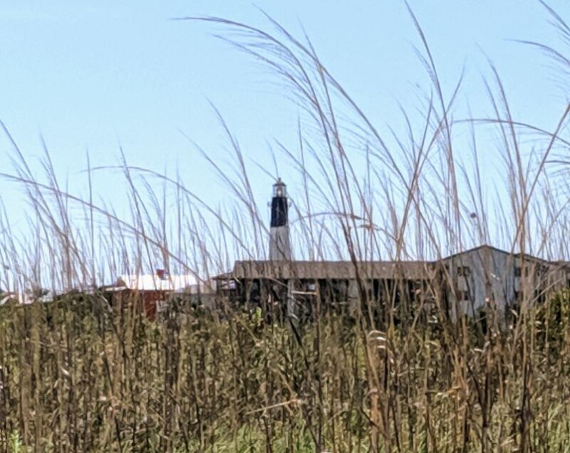 Savannah: Historic District and Islands Private Tour - An In-Depth Look at the Savannah: Historic District and Islands Private Tour