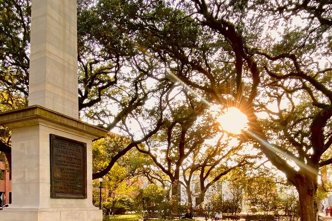 Savannah Historic District Tour by The Wandering Historians - Positive Reviews and Tour Coverage