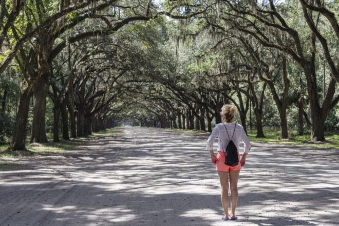 Savannah: Historic Highlights Walking Tour - Common Questions