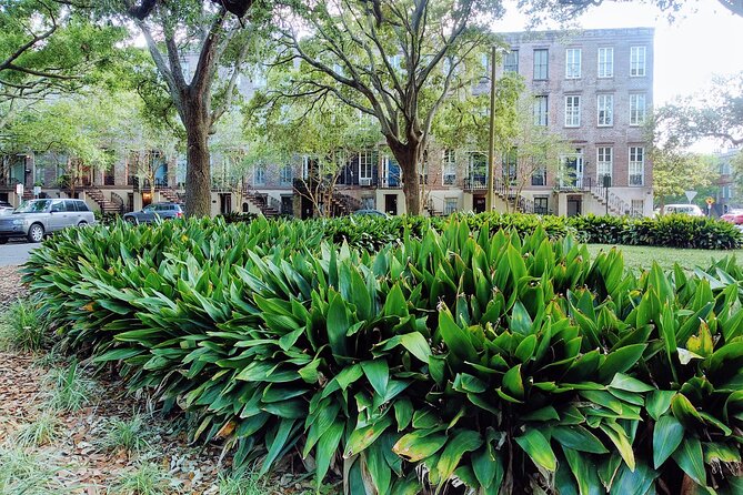 Savannah Irish History Walking Tour - Inclusions and Logistics