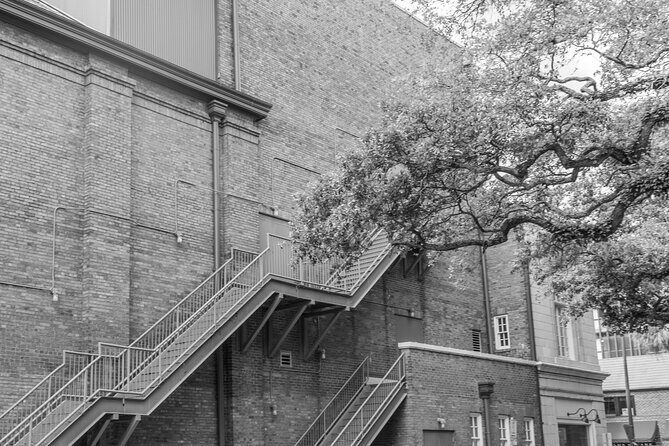 Savannah Photography Tour led by a Local Photographer - Exploring the Savannah Photography Tour in Detail