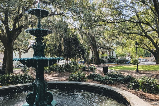 Savannah Private Tour of Historic District and Beyond - Traveler Reviews and Tips