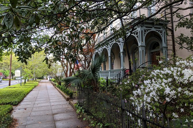 Savannah Private Tour of Historic District and Beyond - Positive Reviews About Bill as a Tour Guide