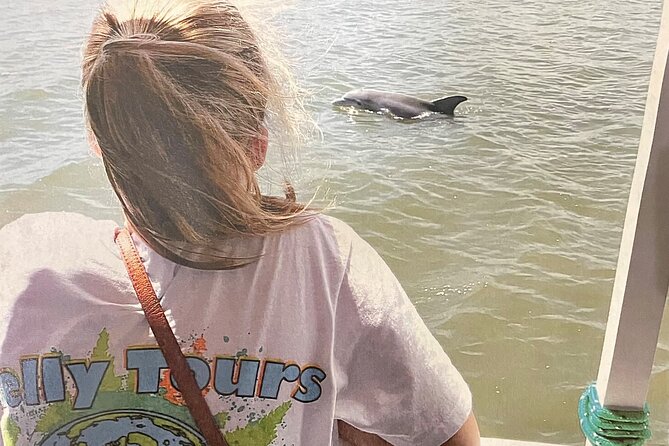 Savannah to Tybee Island With Dolphin Cruise - Private Transportation and Parking