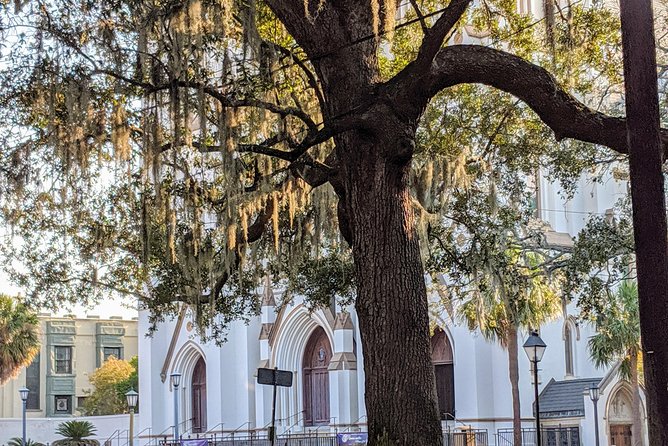 Savannah VIP Tour: Private Full-Day Tour - Terms & Conditions