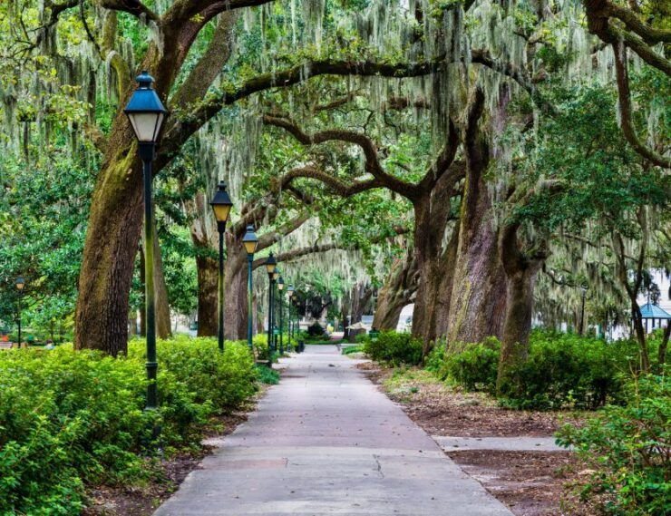Savannah: 'We Shall Overcome' Black History Walking Tour - Tour Details