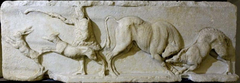 Savona: Guided visit to the Civic Archaeological Museum and the City of Savona - The Setting and Museum Space