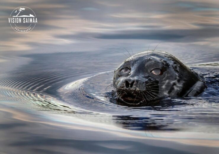 Savonlinna: Evening Photography Tour on Lake Saimaa - Good To Know