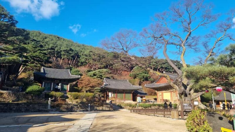 Savor 40 Years of Galbi Tradition in Ganghwa, Incheon - Authenticity & Value