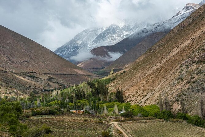 Savor Chile's Flavors on Elqui Valley Tour - Tour Overview
