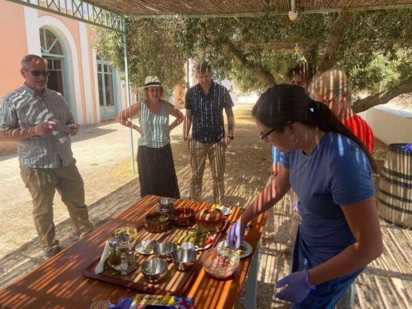 Savor Rhodes: 11-Dish Wine Pairing and Cooking Adventure - Vineyard Exploration