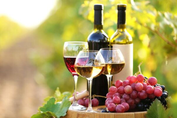 Savor Rhodes: 11-Dish Wine Pairing and Cooking Adventure - Frequently Asked Questions