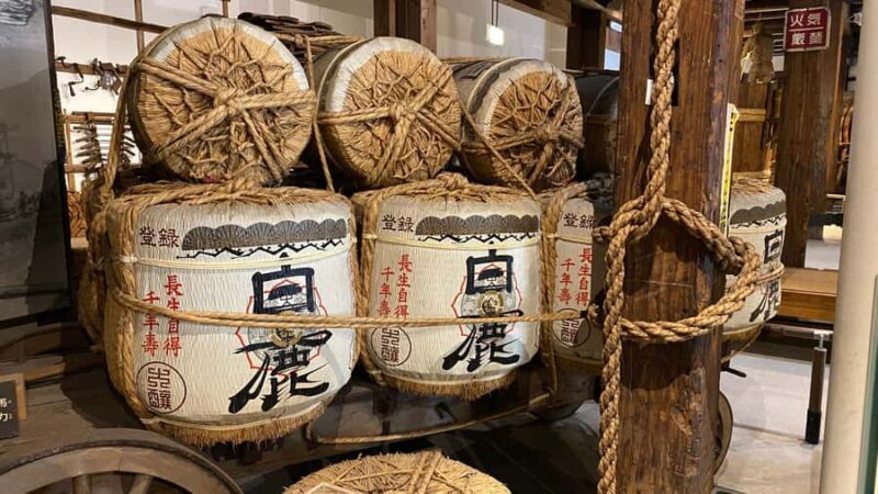 Savor Sake & Craft Sushi Private Experience Near Osaka - An In-Depth Look at the Experience