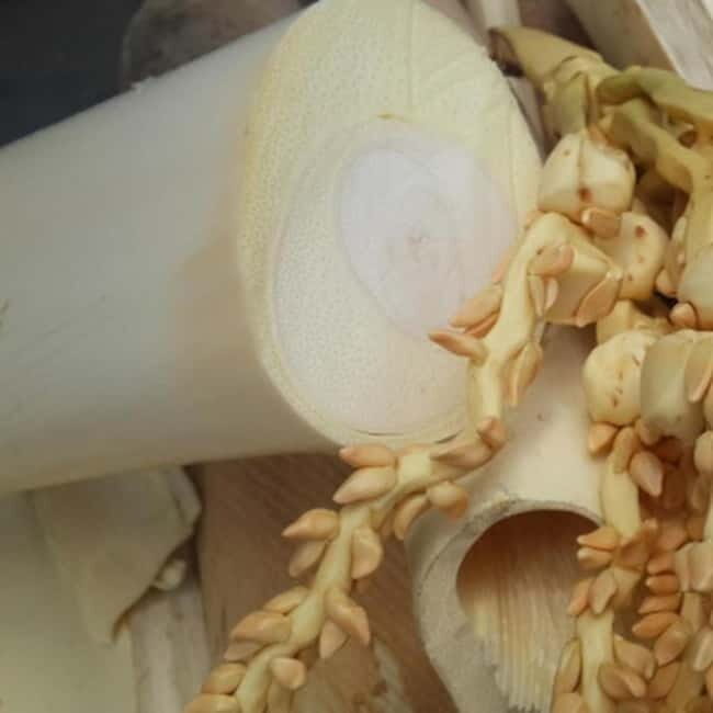 Savouring Madurai: Private Street Food Tour of Madurai ! - Exploring Madurai through a Food Lens