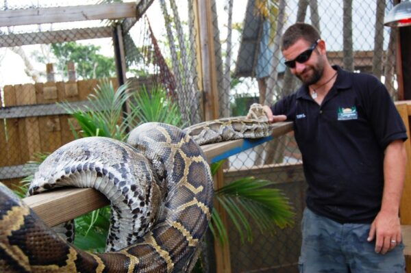 Sawgrass Park: Private 1-Hour Airboat Adventure Tour - Alligator Interaction