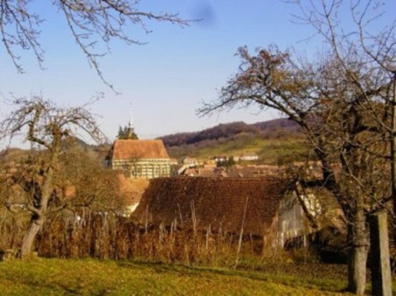 Saxon Secrets: The Malancrav & Biertan Experience - Good To Know