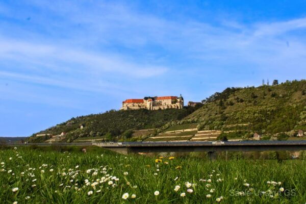 Saxony-Anhalt. Discover the Saale and Unstrut Rivers by Bike - How to Book Your Adventure