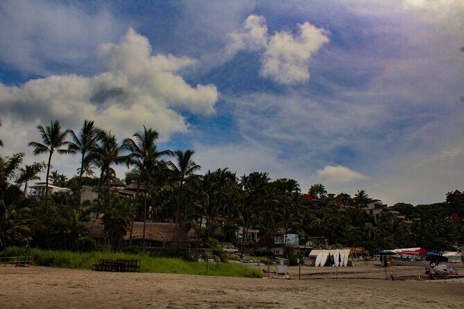 Sayulita and San Pancho Day Trip from Puerto Vallarta - Critical Perspectives from Travelers
