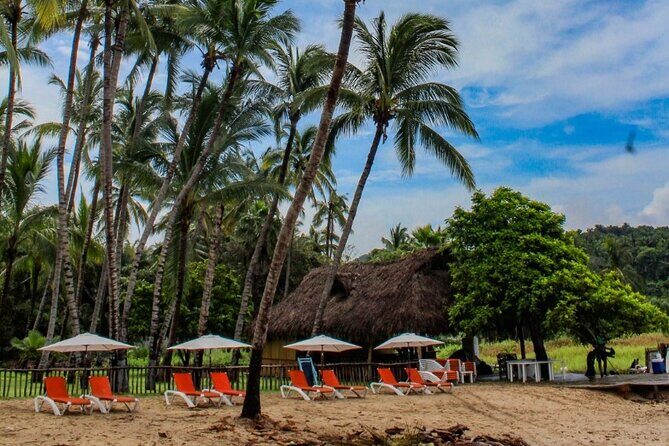 Sayulita and San Pancho Day Trip from Puerto Vallarta - Who Should Consider This Tour?