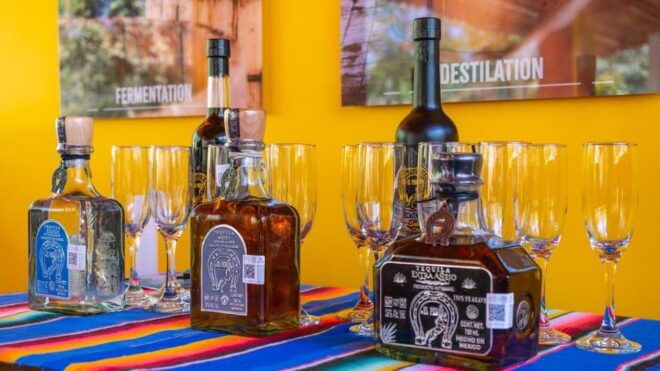 Sayulita and San Pancho: Excursion Through Coastal Towns - Suitability