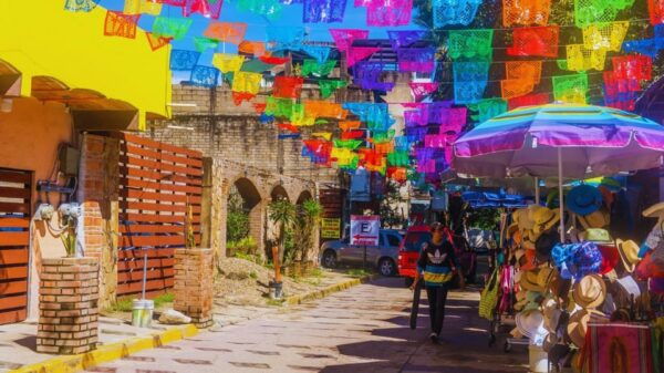 Sayulita and San Pancho: Excursion Through Coastal Towns - Prohibited Items