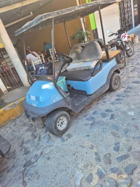 Sayulita: Electric Cart Rental - Exploring Sayulita with an Electric Trolley: A Practical Guide