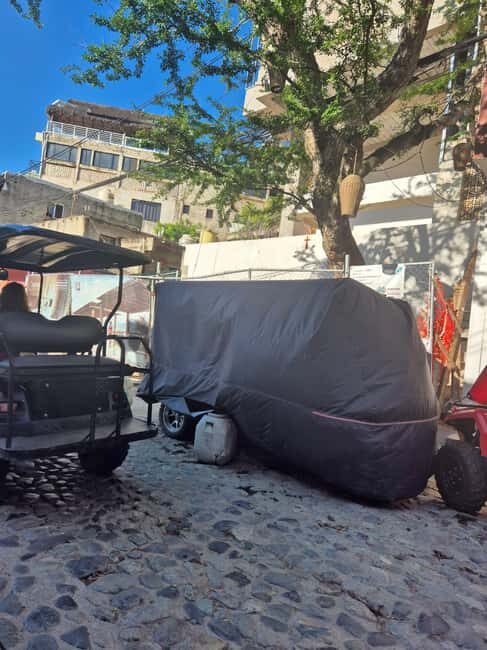 Sayulita: Electric Cart Rental - Who Should Consider This Experience?