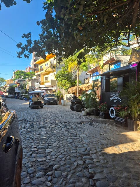 Sayulita: Electric Cart Rental - Booking Process