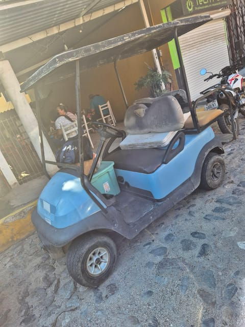 Sayulita: Electric Cart Rental - Vehicle Specifications