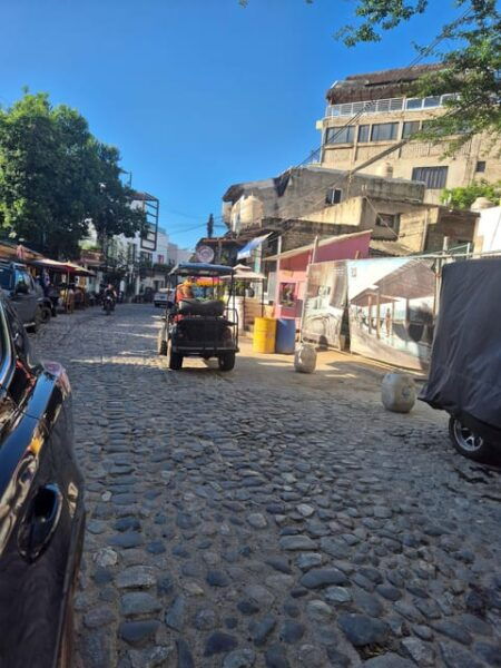 Sayulita: Electric Cart Rental - Sustainability and Eco-Friendliness