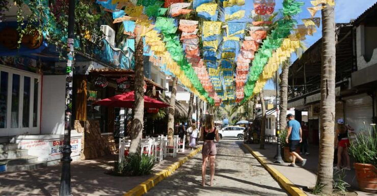 Sayulita: Guided Tour of the City - Good To Know