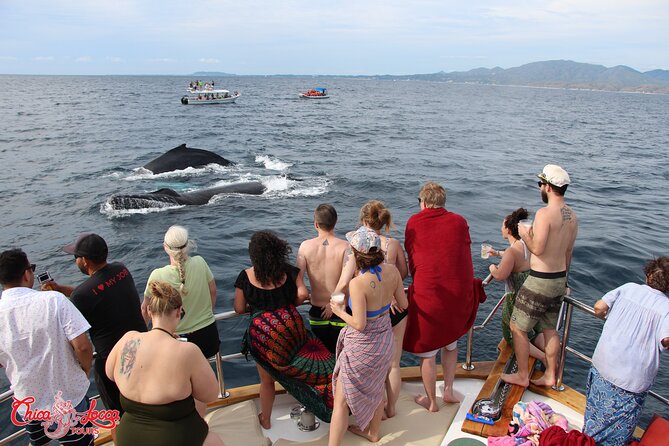 Sayulita Half Day Private All Inclusive Yacht Cruise  - Pacific Coast - Reviews