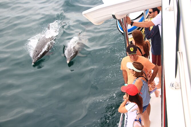 Sayulita Half Day Private All Inclusive Yacht Cruise  - Pacific Coast - Pricing and Availability