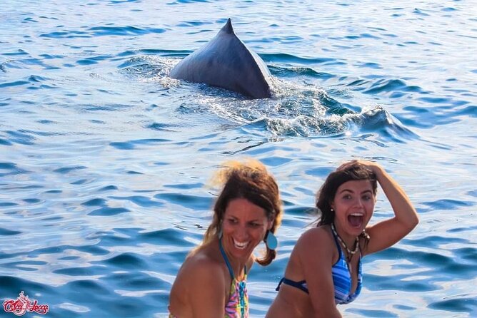 Sayulita Half Day Private All Inclusive Yacht Cruise  - Pacific Coast - Yacht Cruise Highlights