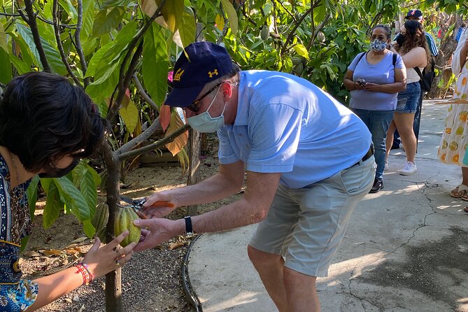 Sayulita Magical Town Tour: Local Food, and Chocolate. - Cancellation Policy and Weather Considerations