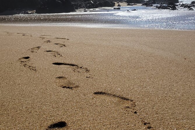 Sayulita Surfer Beach Town and Zarandeado With Seafood Grill - Local Recommendations and Traveler Reviews