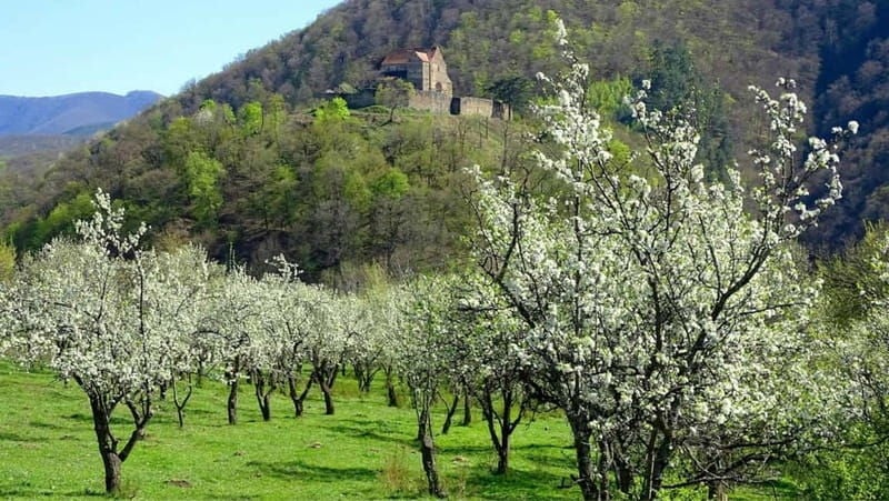 SB13 - Sibiu: Private Day Trip to Transylvanian Villages - Good To Know
