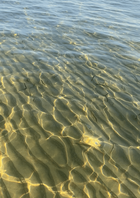 Scala Dei Turchi: Snorkeling With a Marine Biologist! - Safety and Guidelines